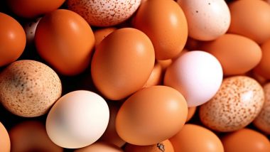 Online Scam in Bengaluru: Woman Tries to Buy Four Dozen Eggs for Rs 49, Duped of Rs 48,000; Case Registered